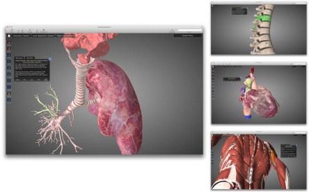 Essential Anatomy 4.o (Mac OS X)