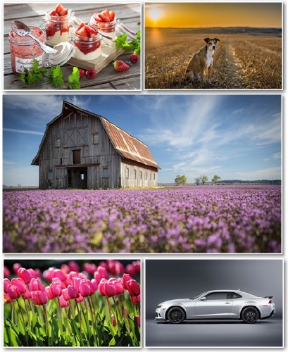 Best HD Wallpapers Pack №1304