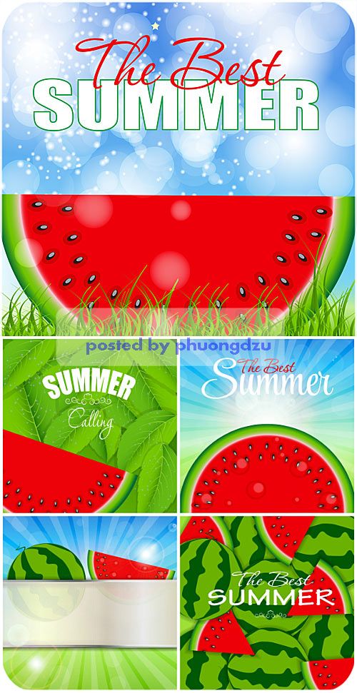 Summer vector background with watermelon 8