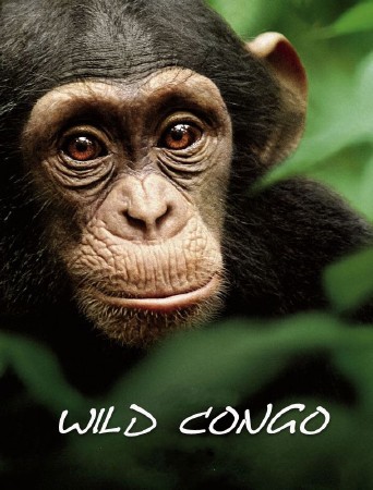    (2   2) / Wild Congo (2013) HDTVRip (720p)