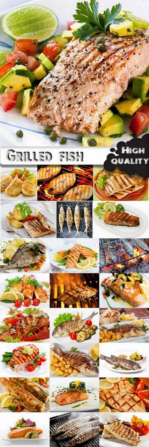 Fish Dishes and grilled fish stock images - 25 HQ Jpg