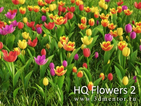 3DMentor HD Flowers vol 2 Tulips