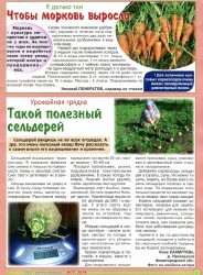 1000 советов дачнику (№13, Июль / 2014)