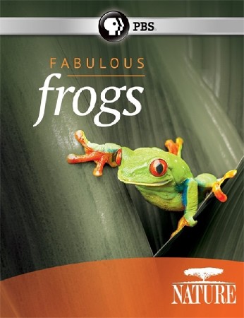 PBS:  -   / PBS: Nature - Fabulous Frogs (2014) HDTVRip