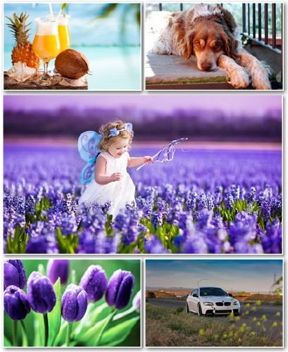 Best HD Wallpapers Pack №1319
