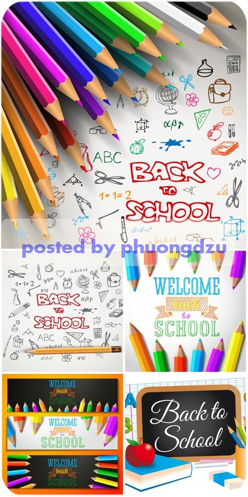 School vector backgrounds with colored pencils