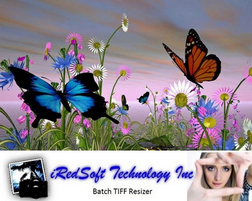 IRedSoft Batch TIFF Resizer 3.05 x86