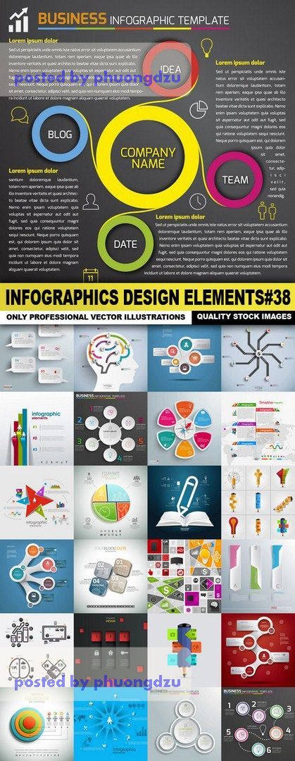 Infographics Design Elements set 38