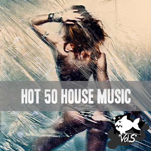 Hot 50 House Music Vol.05 (2014)