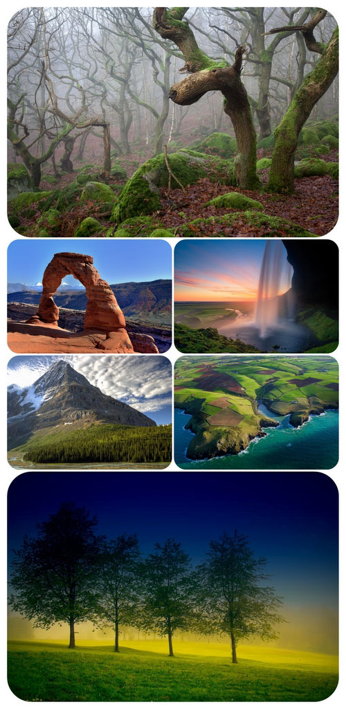 Most Wanted Nature Widescreen Wallpapers #147