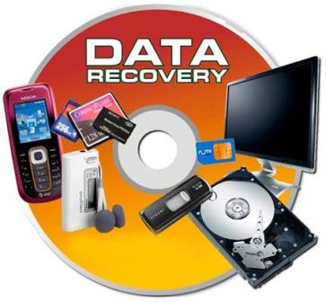 Raise Data Recovery for FAT/NTFS 5.15.2 (2014) РС | Portable by DrillSTurneR