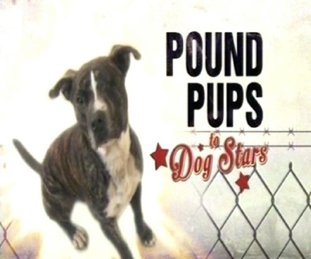    / Pound Pups to Dog Stars (1-10   10) (2013-2014) TVRip