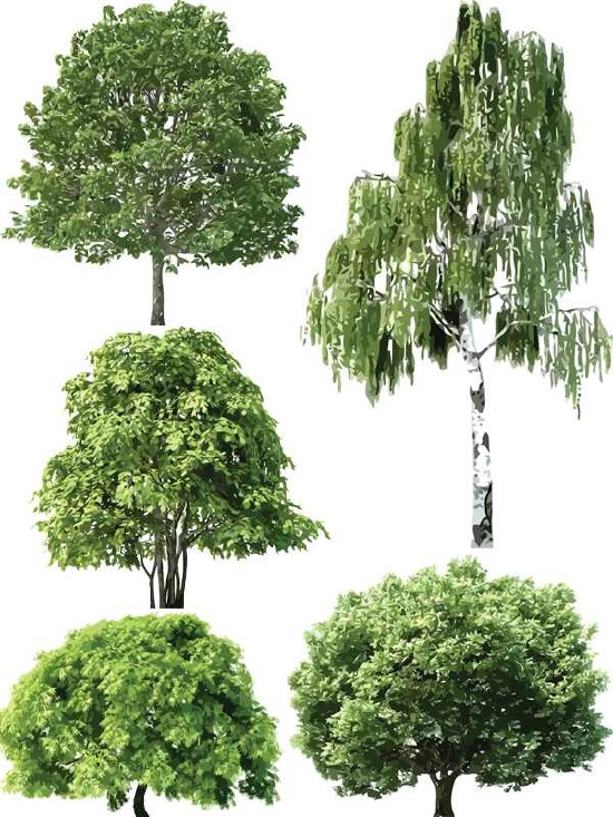 Растительность в векторе: Деревья