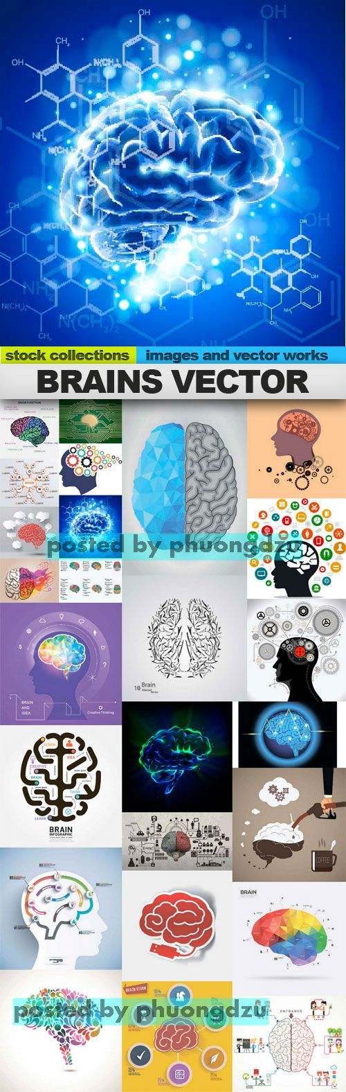 Brains vector 25xEPS