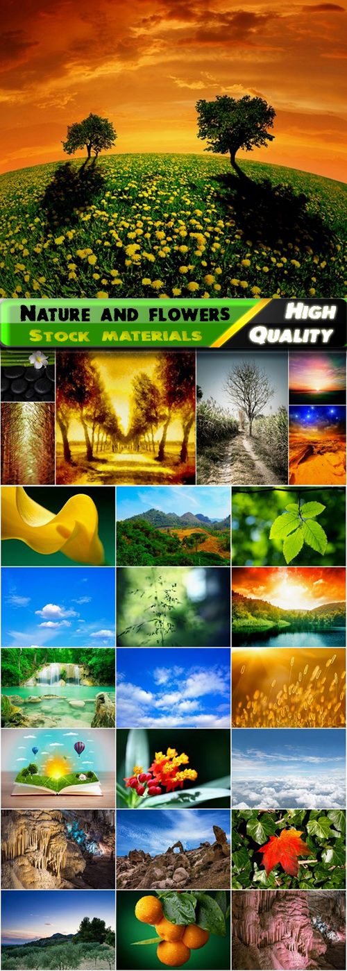 Amazing Nature and flowers Stock images - 25 HQ Jpg