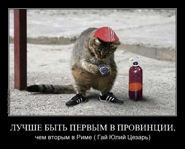http://i67.fastpic.ru/big/2014/0928/e2/35a0803ef2eee2e70341130b558c28e2.jpeg