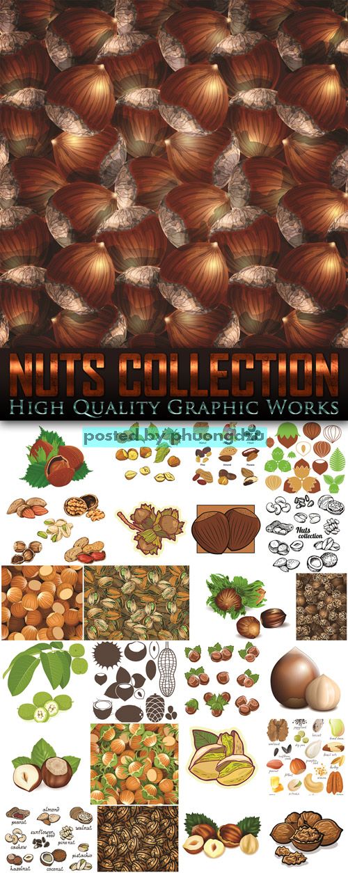 Exclusive - Nuts Collection Vector set 3