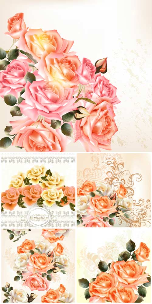 Розы, красивые фоны с цветами в векторе / Roses, beautiful background with flowers vector
