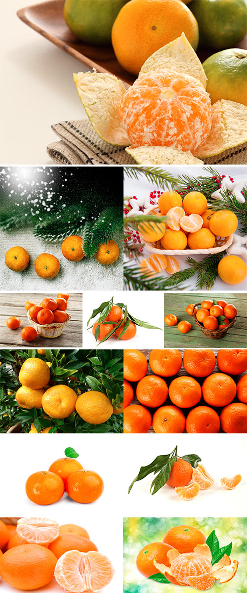 Stock Photos Ripe and juicy tangerines