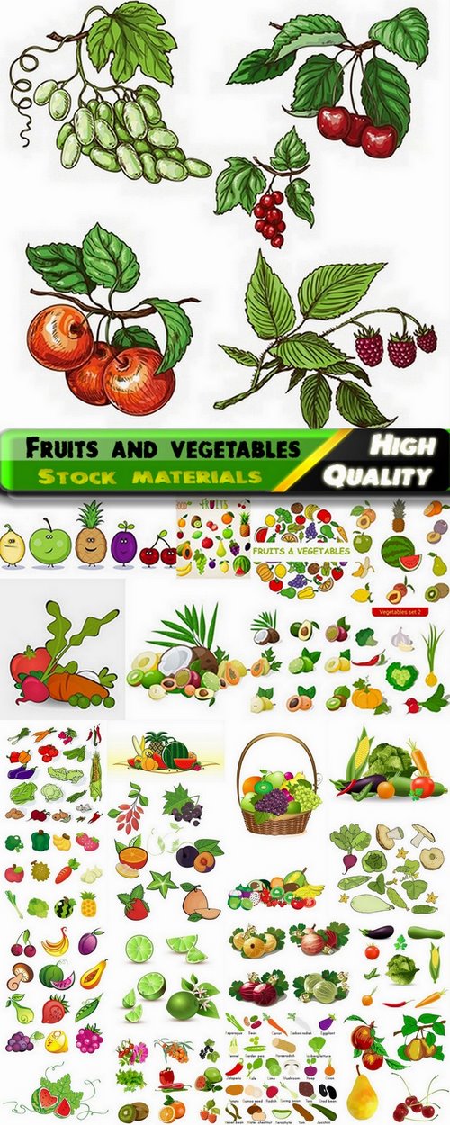 Vector fruits and vegetables from stock - 25 Eps