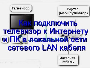            LAN  (2014) WebRip