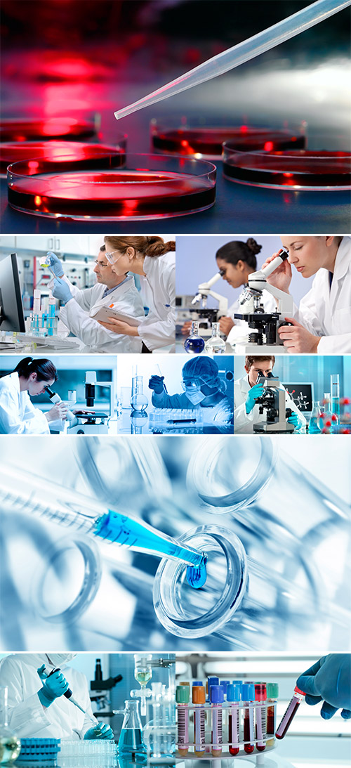 Stock Photo Scientist working at the laboratory