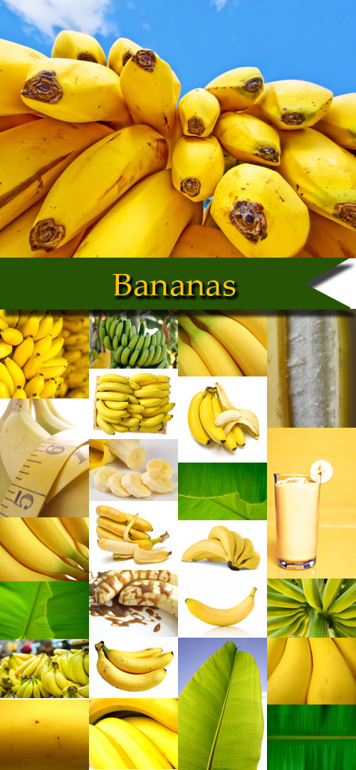 Stock photos bananas