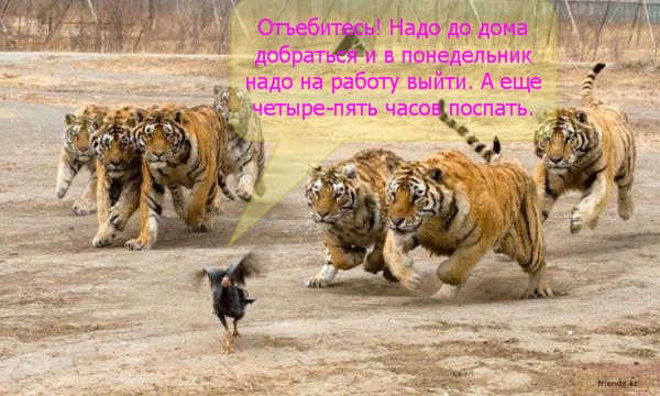 http://i67.fastpic.ru/big/2014/1117/e8/327eda1b3e1af5eb5bc26680bd8064e8.jpg
