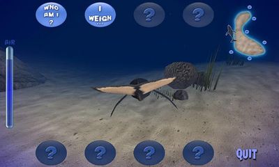 Screenshots of the game Humpback Whale on Android phone, tablet.