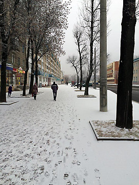 Фотофакт: снега дождалась только половина жителей Могилева