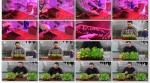 Как вырастить салат дома (2014) WebRip