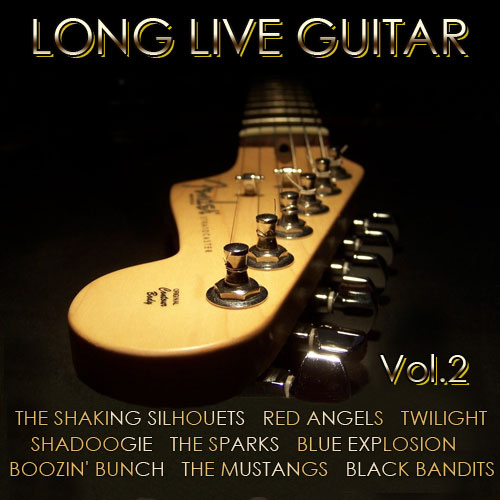 Long Love Guitar Vol.2 (2015)