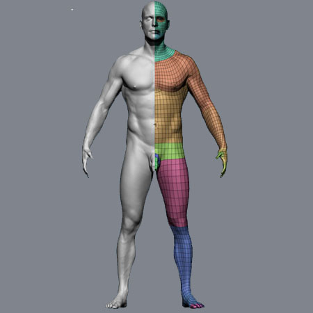 [3DMax] Male Body Scan High Resolution