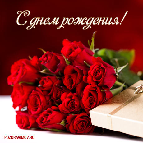 Поздравляем с Днем Рождения Любовь (Люба Чумаченко) 03fb579a382c58ce4eebf01aacd23784