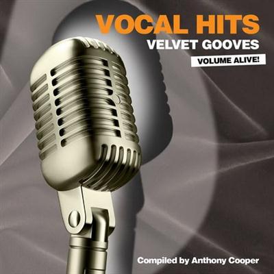 VA - Vocal Hits Velvet Grooves Volume Alive! (2015)