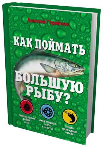Горяйнов Алексей - Как поймать большую рыбу? (2014) rtf