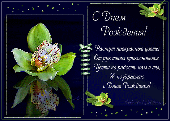 Поздравляем с Днем Рождения Оксану (Ksenia_ja) 59de8543c62d88e67a98919f817491a1