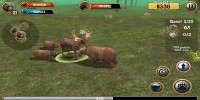 Wild Bear Simulator 3D v1.0