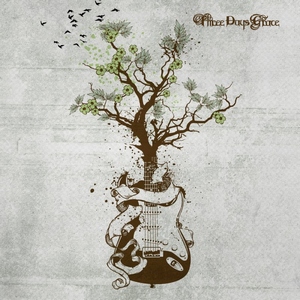 Three Days Grace - Acoustic Wood Insight (2015)