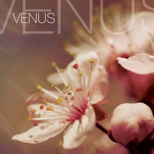 Devotion - Venus (2011)
