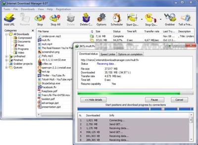        Internet Download Manager 6.25.10,