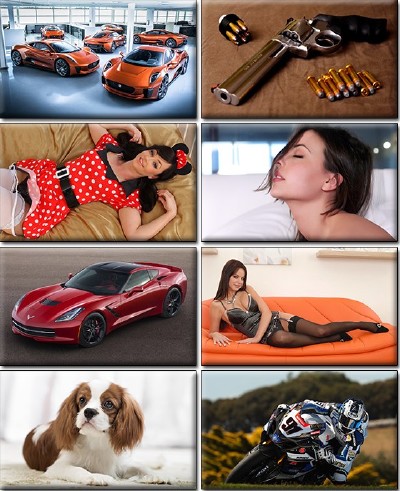 LIFEstyle News MiXture Images. Wallpapers Part (846)