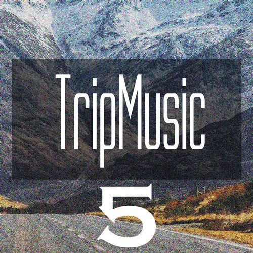 Tripmusic 5 (2015) 