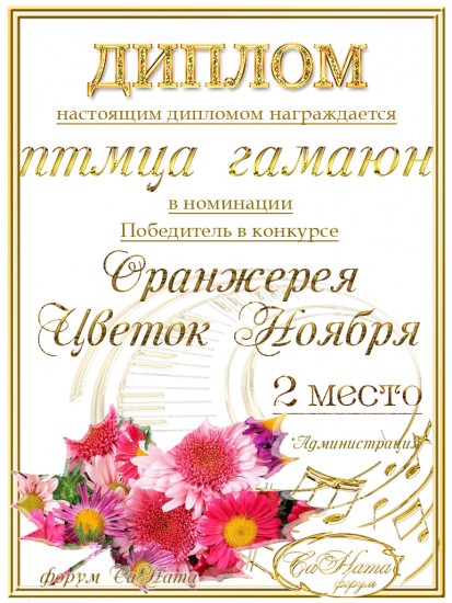 Поздравляем победителей конкурса "Оранжерея. Цветок Ноября"! 4d07f80a1c1e5c3b2ae49d60e1eb4415