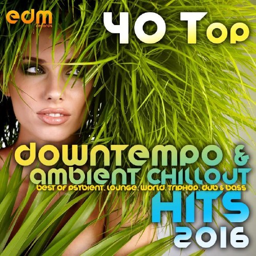 40 Top Downtempo And Ambient Chillout Hits 2016 (2015)