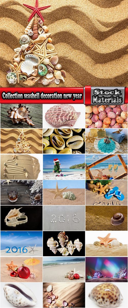 Collection seashell decoration new year Christmas a background nature landscape in 2016 25 HQ Jpeg