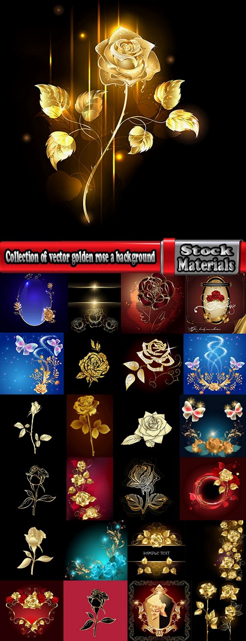 Collection of vector golden rose a background picture flyer banner 25 EPS