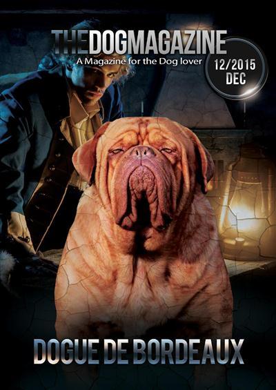 The DOG Magazine - December 2015