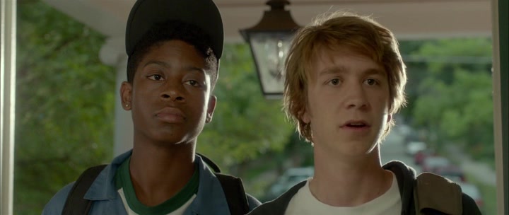 ,     / Me and Earl and the Dying Girl (2015/RUS/ENG) HDRip | BDRip 720p