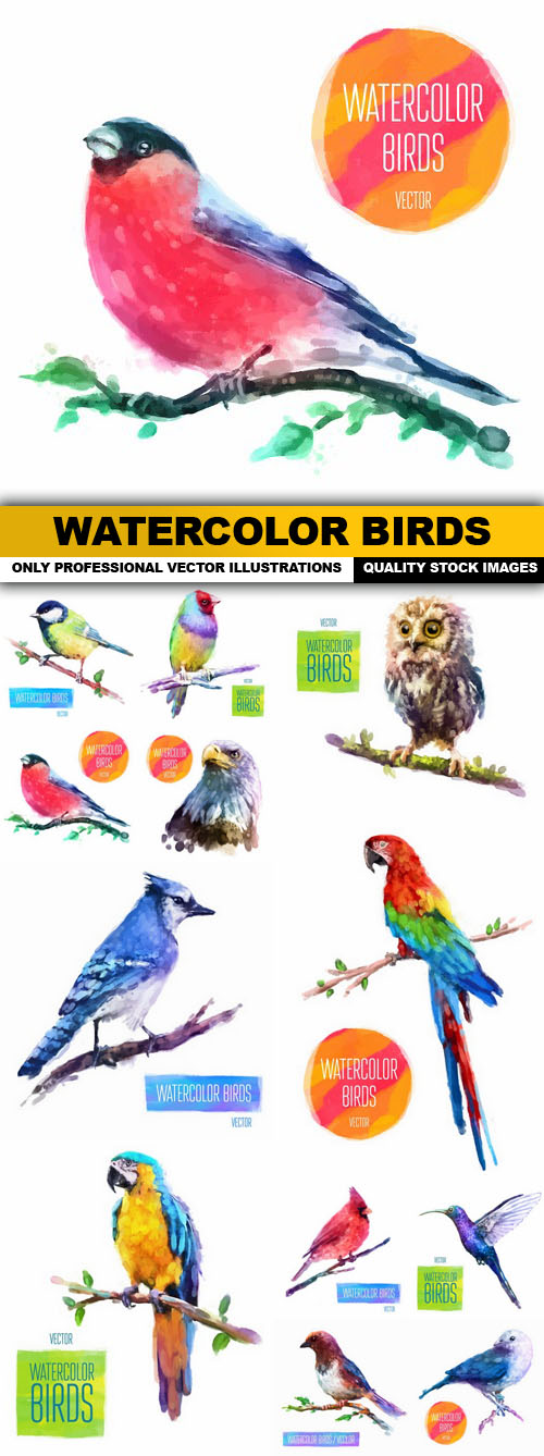 Watercolor Birds - 12 Vector